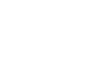 Franchising 2